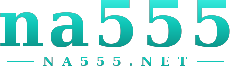 na555 logo
